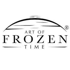 Art of Frozen Time