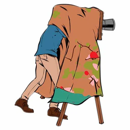 Art Shower Curtains