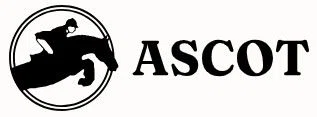 Ascot Enterprises