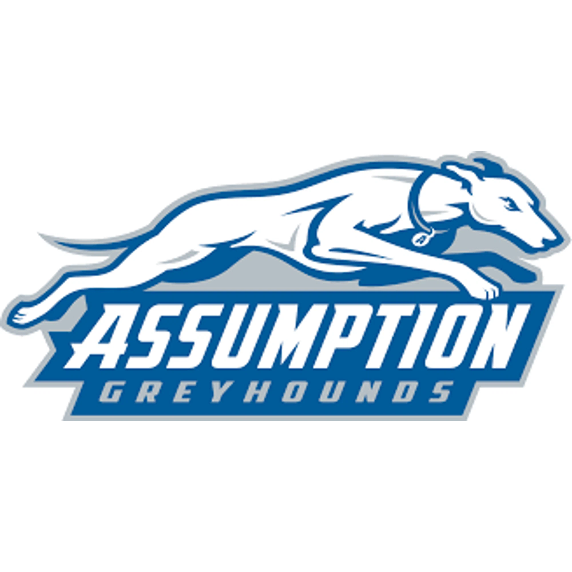 Assumption Greyhounds