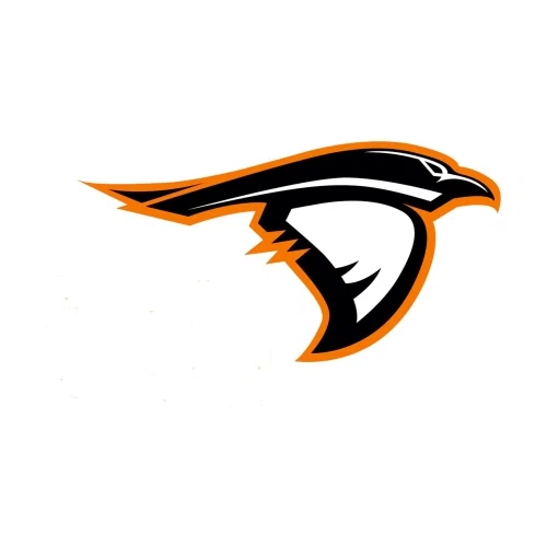 Anderson University Athletics