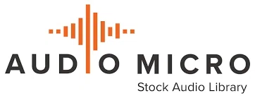 AudioMicro