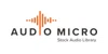 AudioMicro