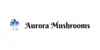 Aurora Mushroom Chocolate
