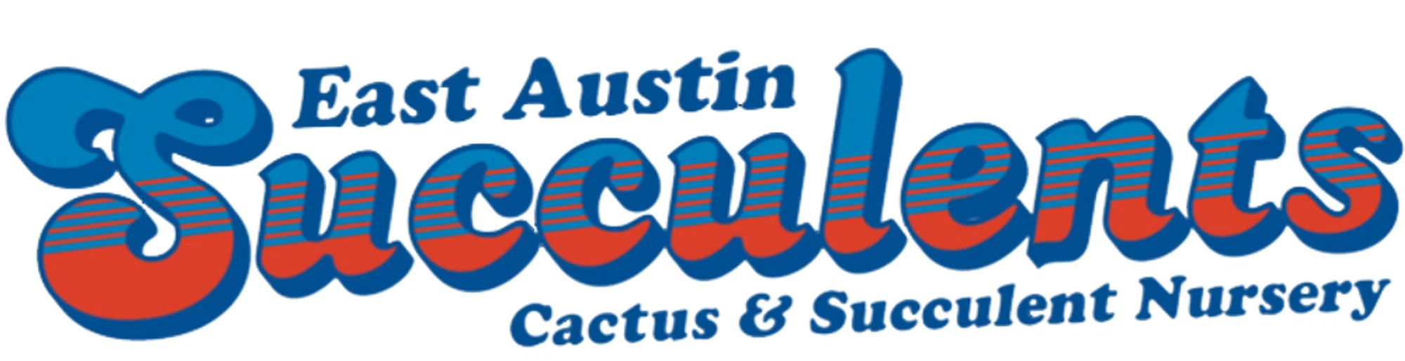 East Austin Succulents