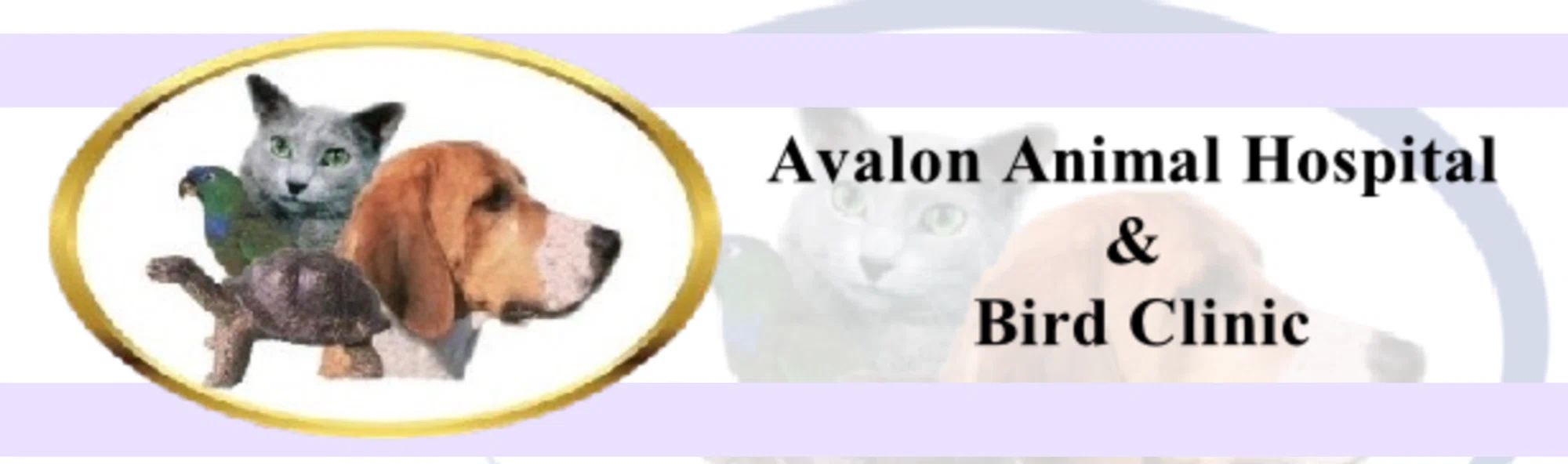 Avalon Animal Hospital & Bird Clinic
