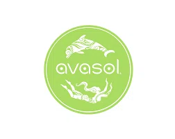 Avasol