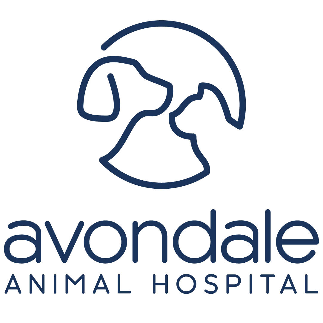 Avondale Animal Hospital