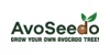 AvoSeedo