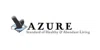 Azure Standard