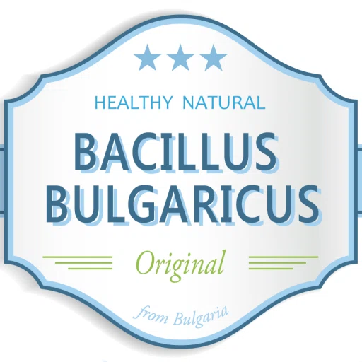 Bacillus Bulgaricus