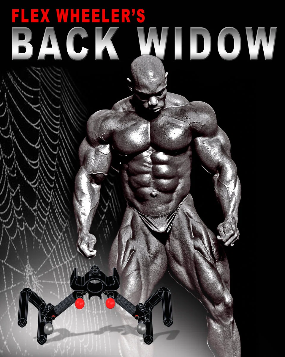 Back Widow