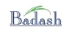 Badash