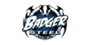 Badger Steel USA logo