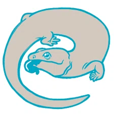 Badgerland Reptile Rescue