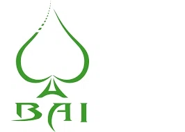 BAI US