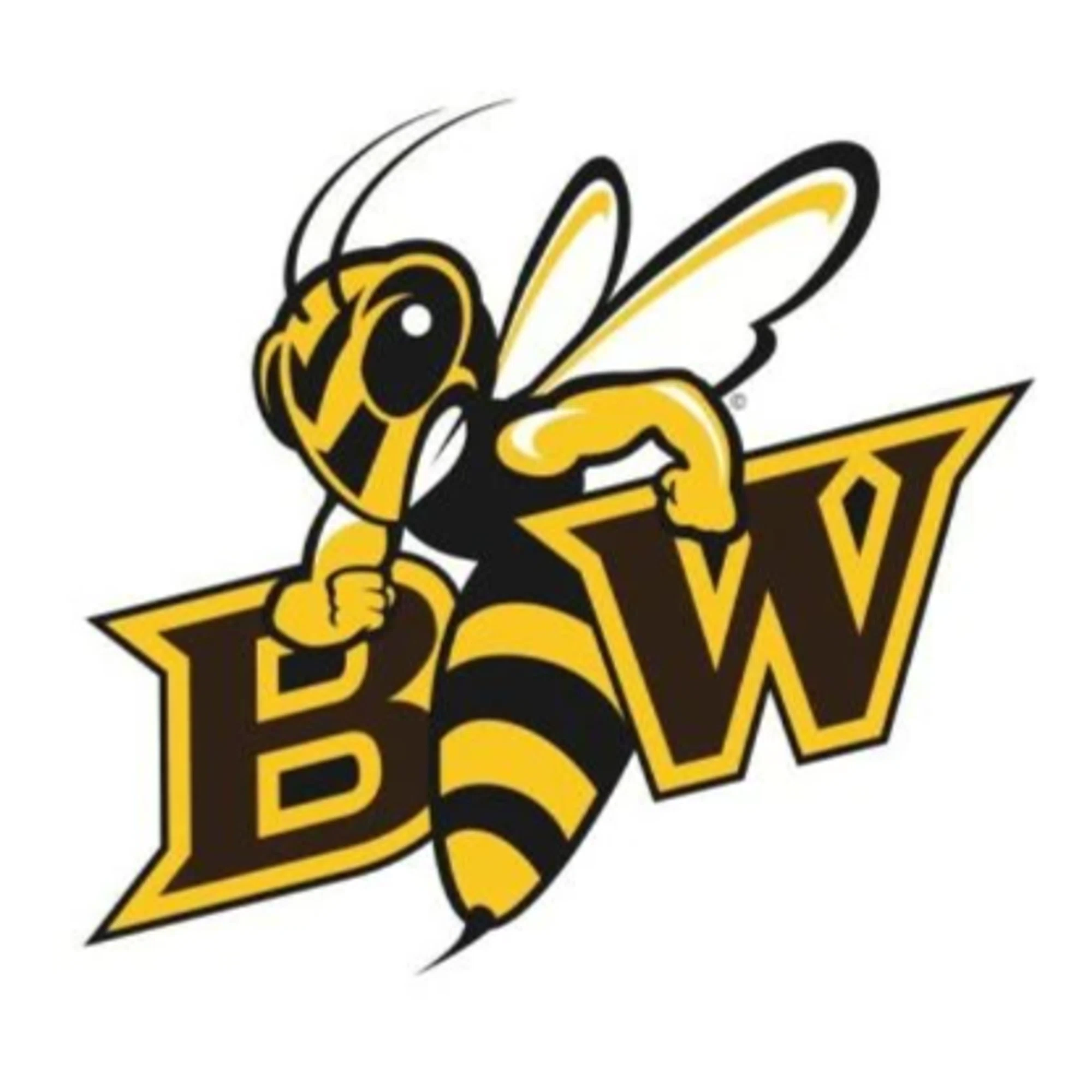 Baldwin Wallace Yellow Jackets