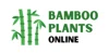 Bamboo Plants Online