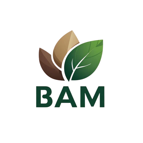 BAM POS Paper