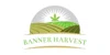 Banner Harvest logo
