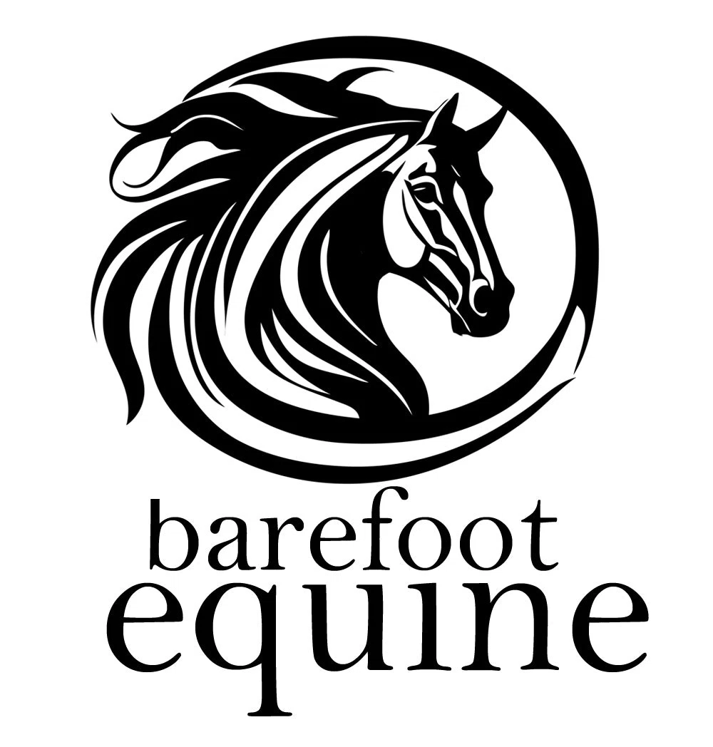 Barefoot Equine