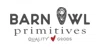 Barn Owl Primitives