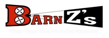 BarnZ's Barrington Cinema