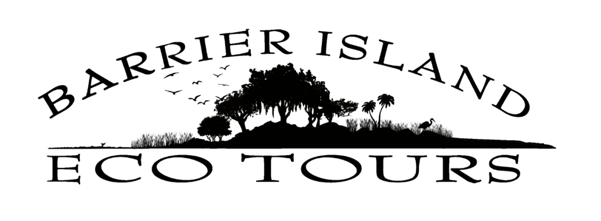 Barrier Island Eco Tours