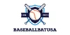 Baseball Bat USA