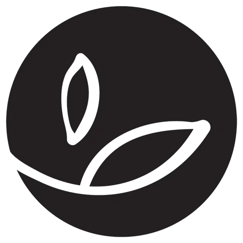 Basic Earth Essentials