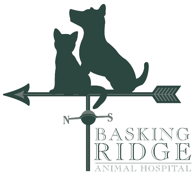 Basking Ridge Animal Hospital