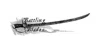 Battling Blades logo