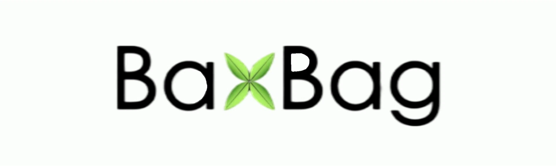 BaxBag