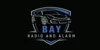 Bay Radio and Alarm