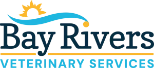 Bay River Veterinary Services
