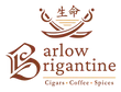 Barlow Brigantine