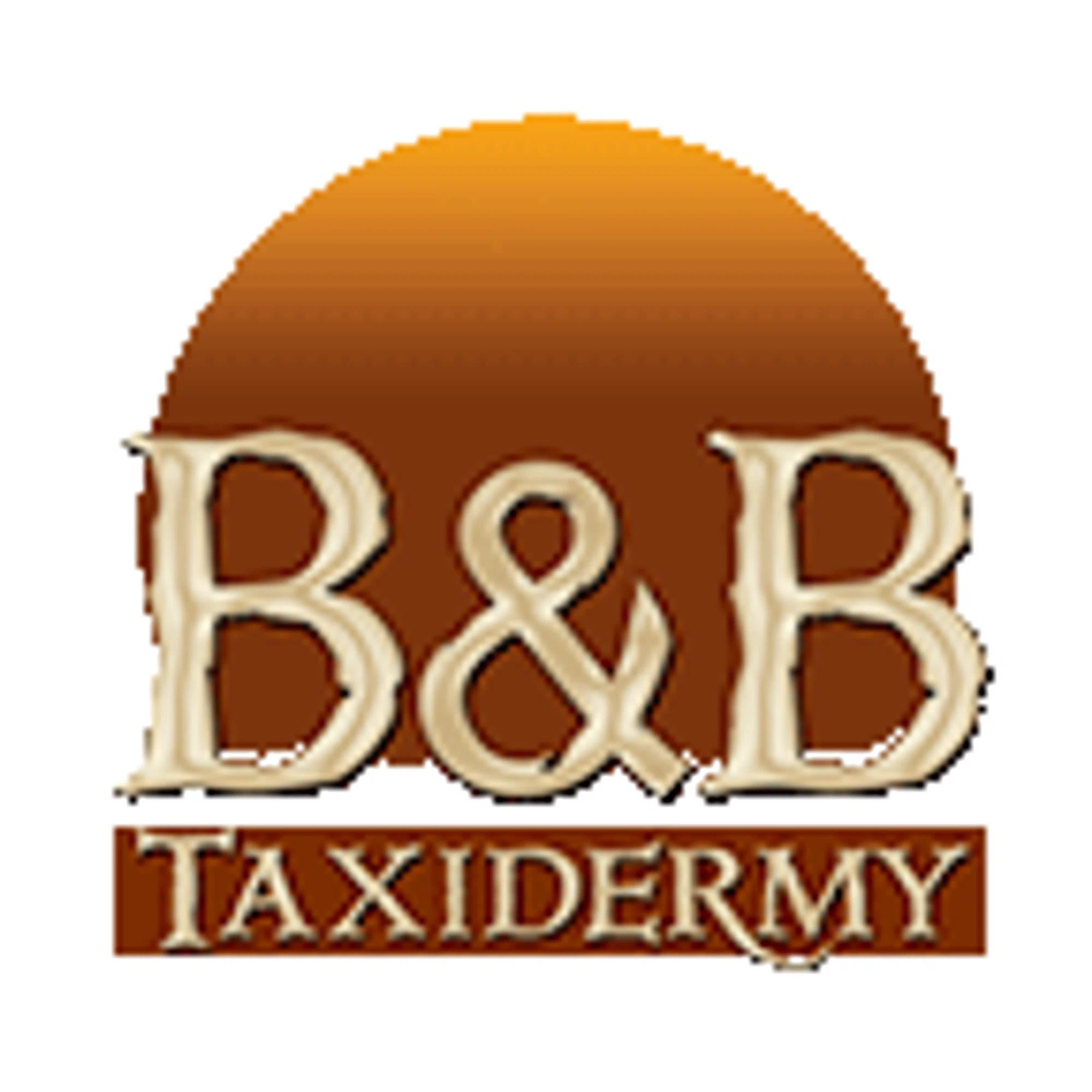 B&B Taxidermy