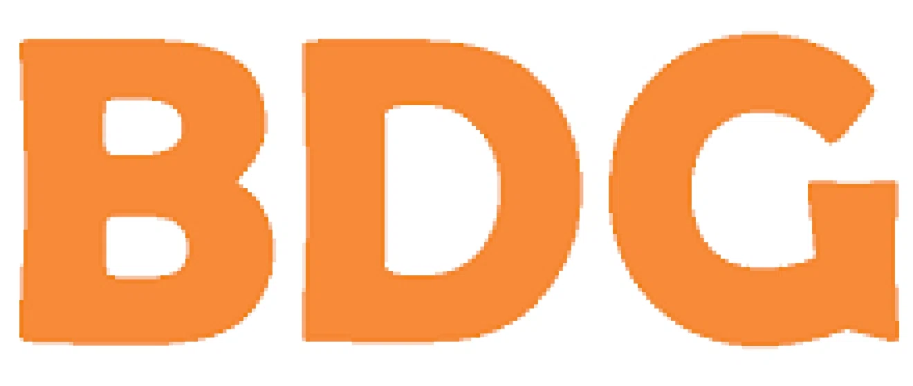 BDG Web Design