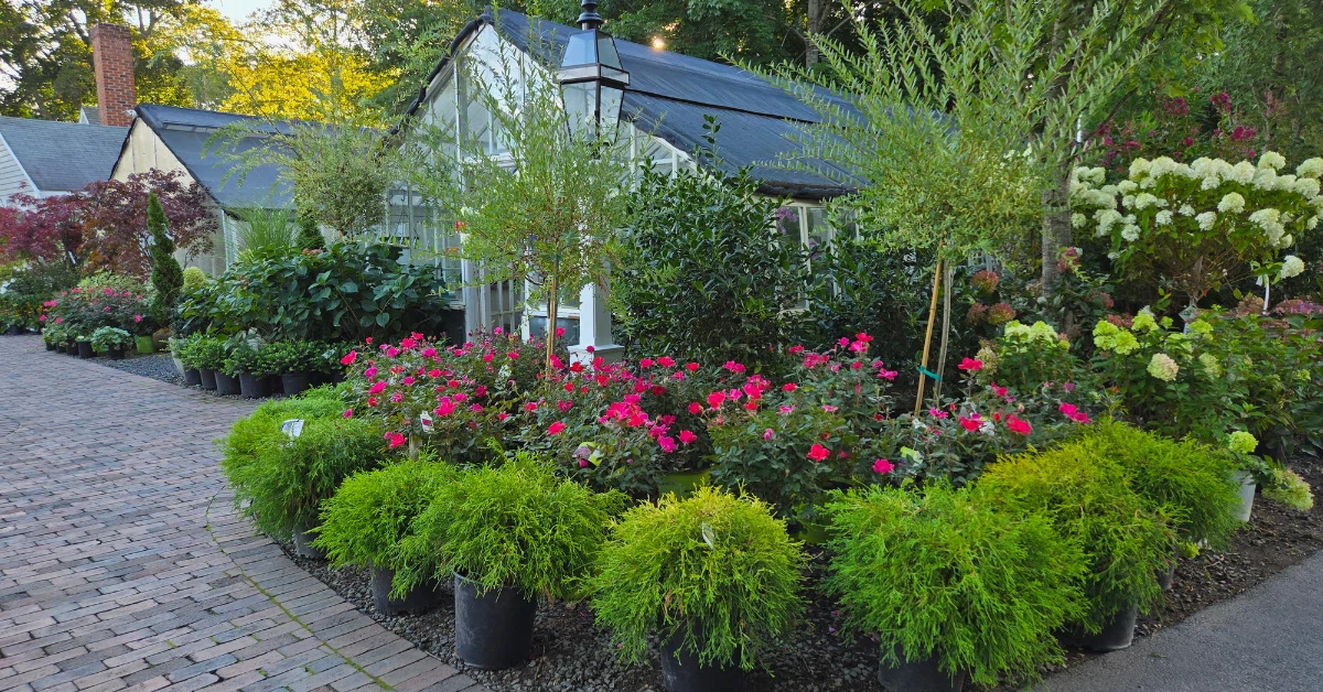 Beacon Gardens at Osterville