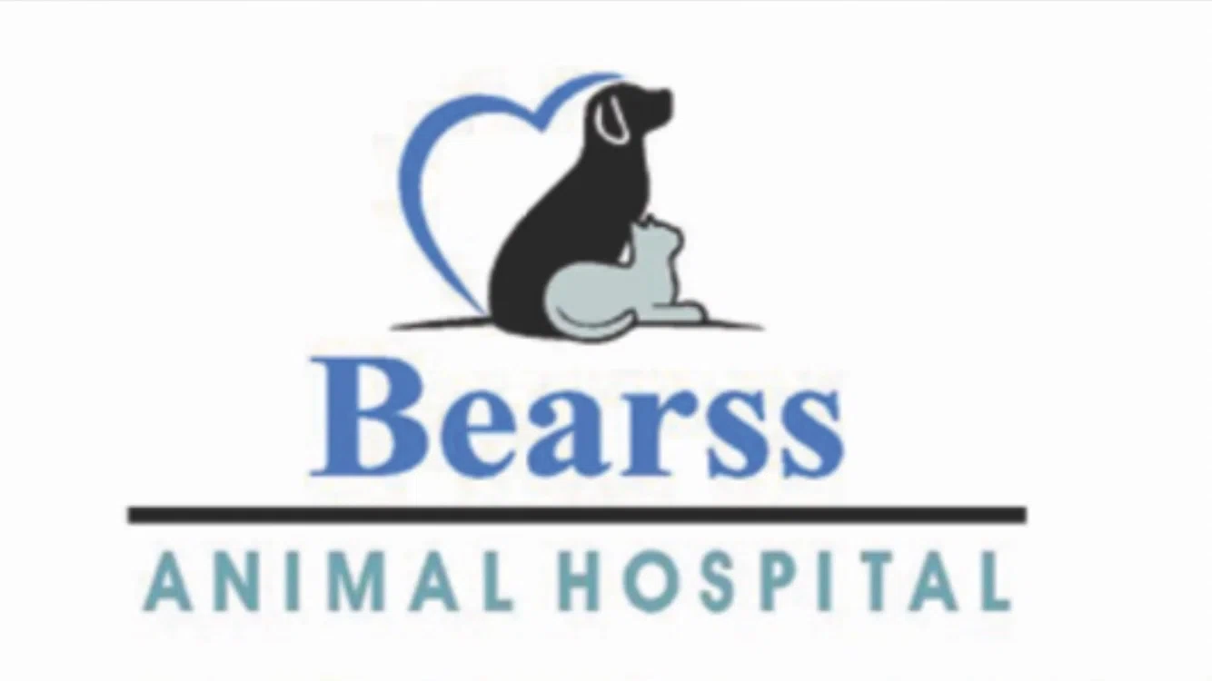 Bearss Animal Clinic
