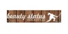 Beauty Status Hockey Co.