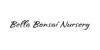 Bella Bonsai Nursery