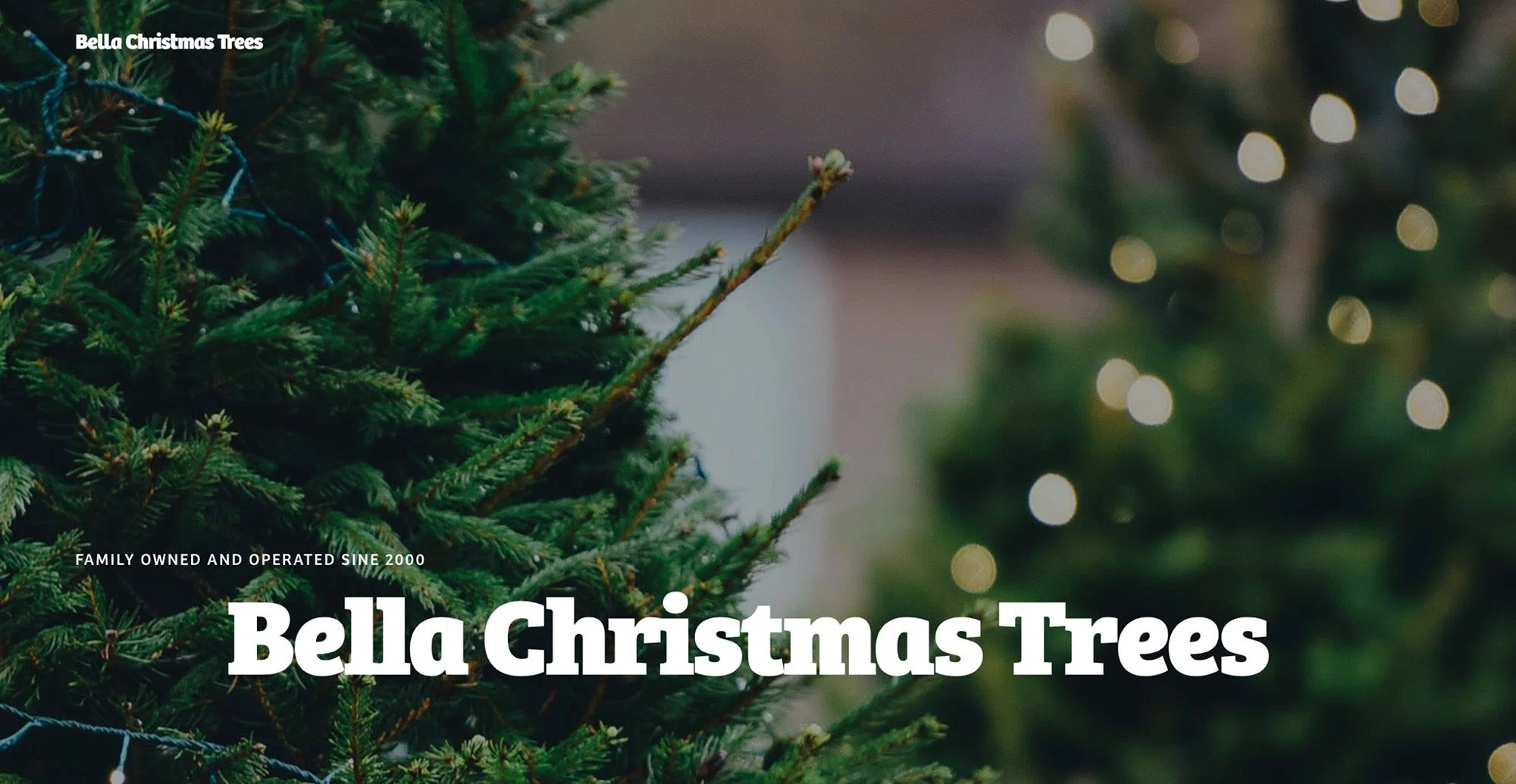 Bella Christmas Trees