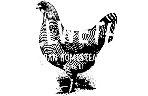 Bellwether Farm Urban Homesteading
