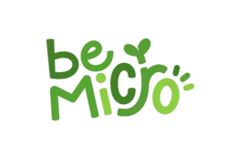BeMicro