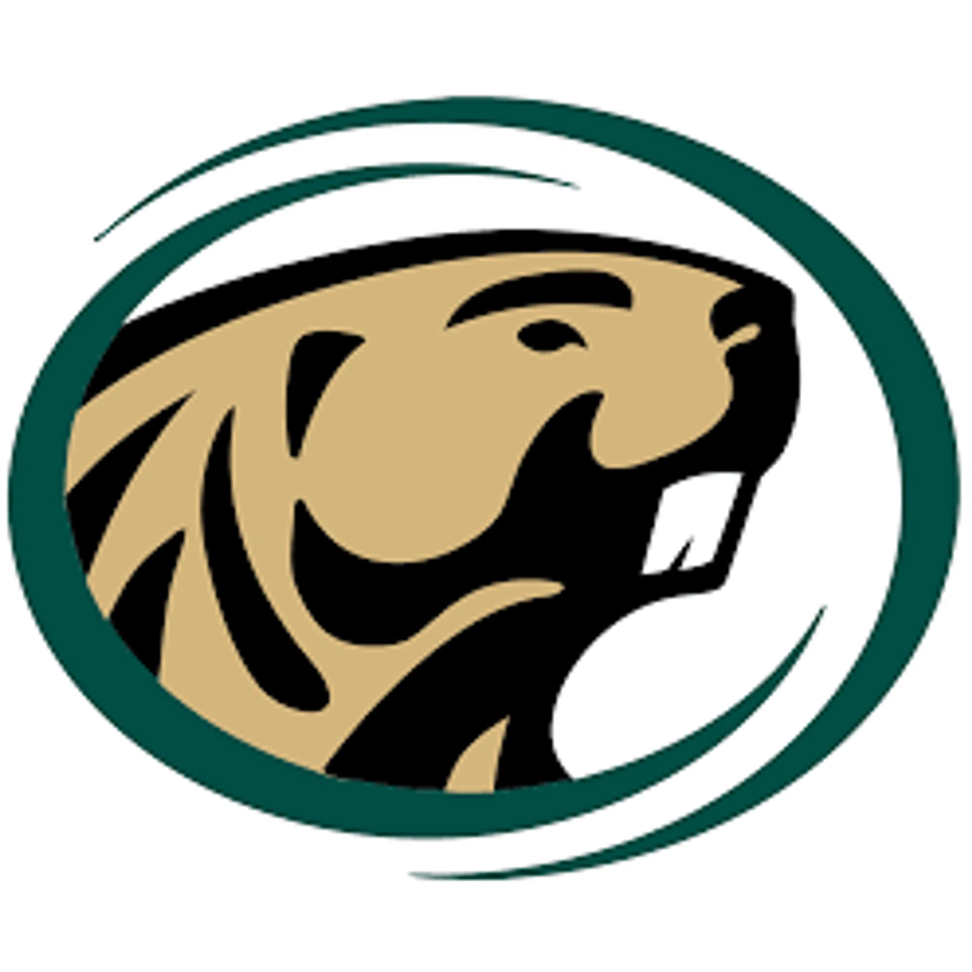 Bemidji State Beavers