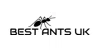 Best Ants UK logo