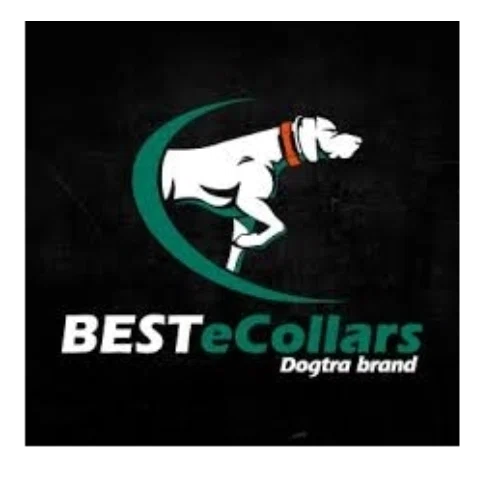 BESTeCollars