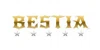 Bestia Dog Gear logo