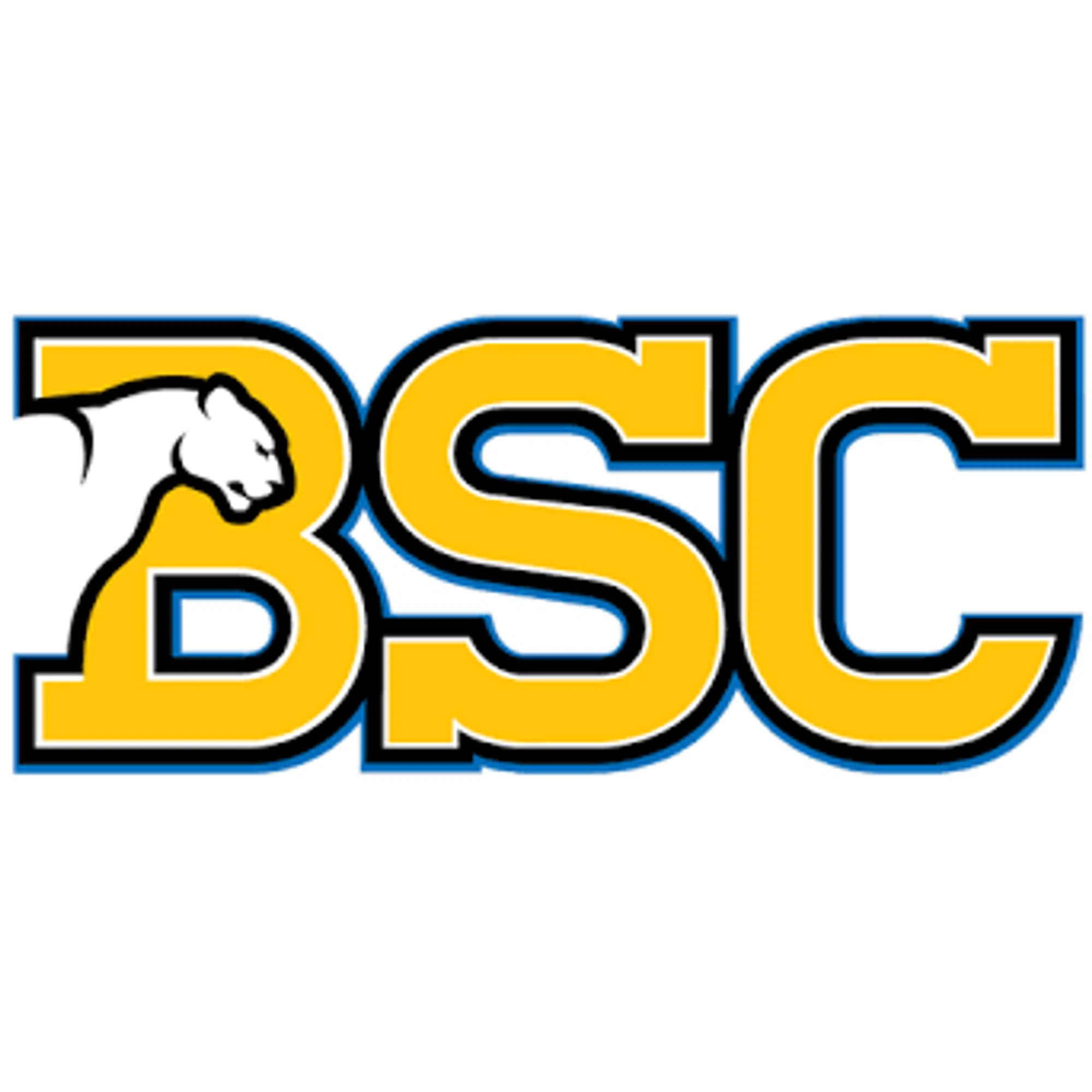 Birmingham-Southern Panthers
